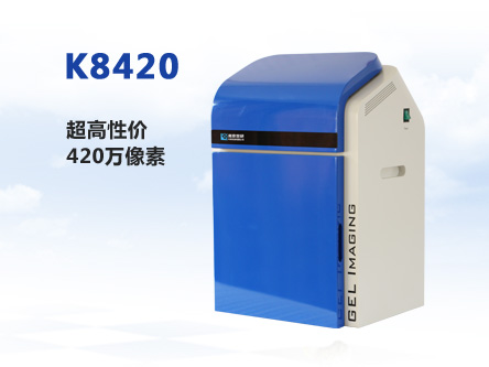 K8420全自動凝膠成像系統